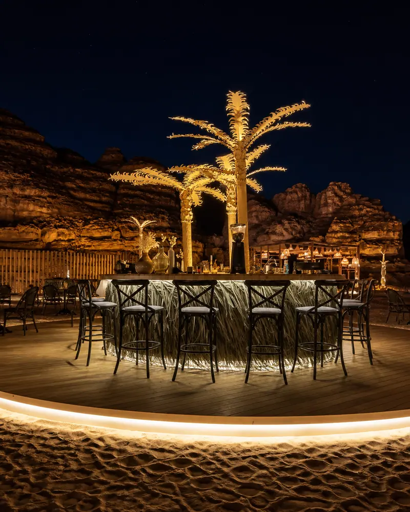 Illuminated bar and palm feature